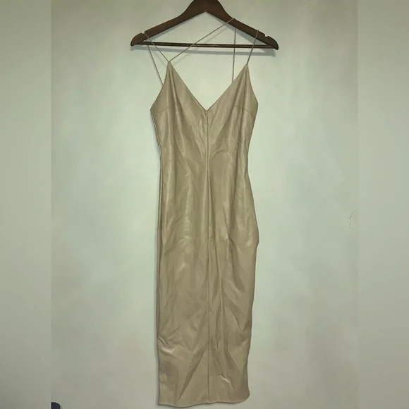 Fashion Nova- Make It Sexy Faux Leather Midi Dress
Nude - Picture 3 of 4